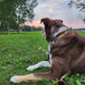 Meet your Posher, Laurel